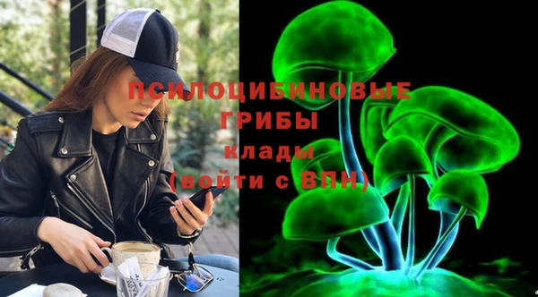 марки lsd Новозыбков